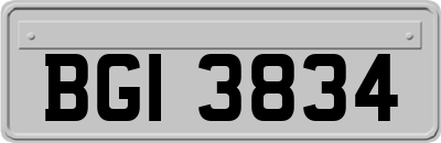 BGI3834