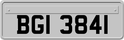 BGI3841