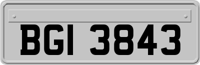 BGI3843