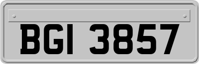 BGI3857
