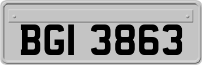 BGI3863