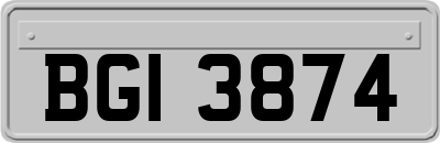BGI3874