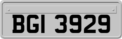BGI3929
