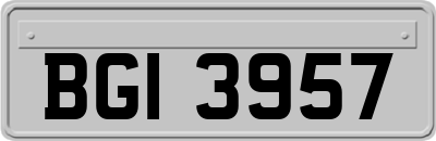 BGI3957