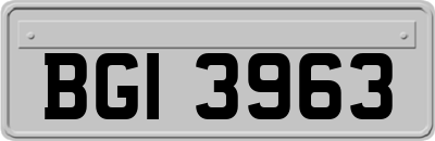 BGI3963