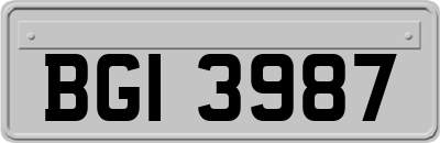 BGI3987