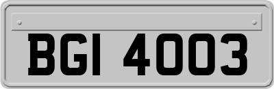 BGI4003