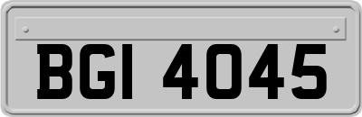 BGI4045