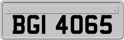 BGI4065