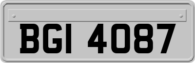 BGI4087