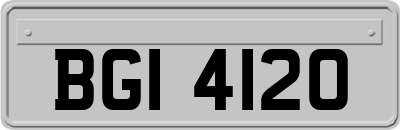 BGI4120