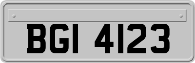 BGI4123