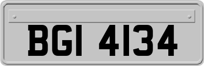 BGI4134
