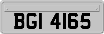 BGI4165