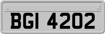 BGI4202