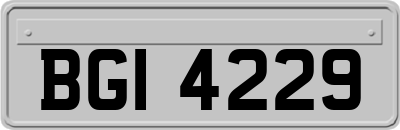 BGI4229