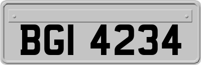 BGI4234