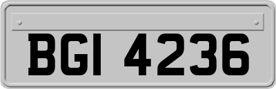 BGI4236