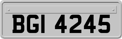BGI4245
