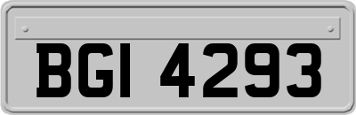BGI4293