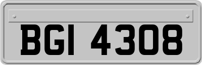BGI4308