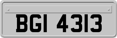 BGI4313