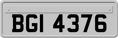 BGI4376
