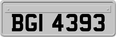 BGI4393