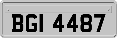 BGI4487