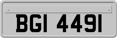 BGI4491