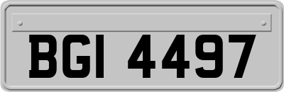 BGI4497