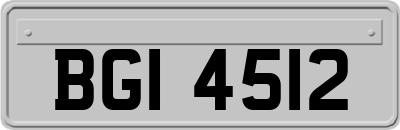 BGI4512