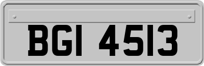 BGI4513