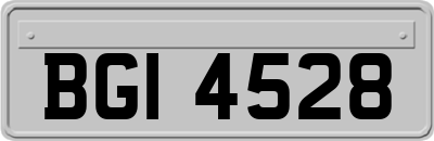 BGI4528