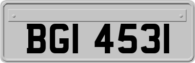 BGI4531