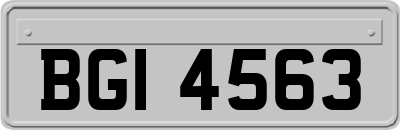 BGI4563