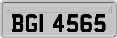 BGI4565