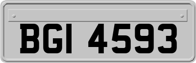 BGI4593