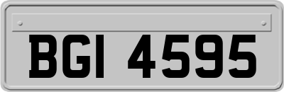 BGI4595