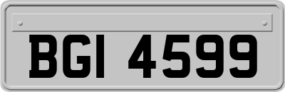 BGI4599