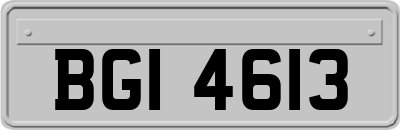 BGI4613