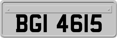 BGI4615