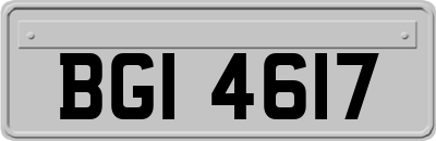 BGI4617