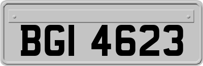 BGI4623