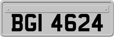 BGI4624