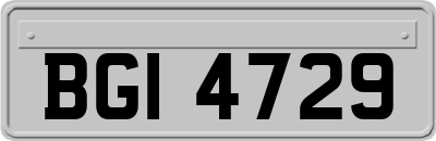 BGI4729