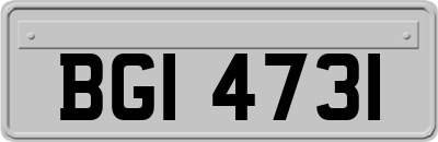 BGI4731