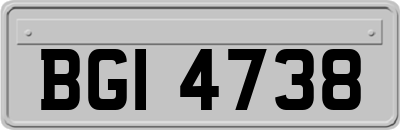 BGI4738
