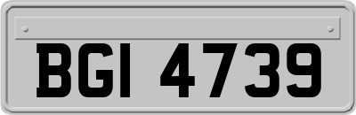 BGI4739