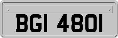 BGI4801